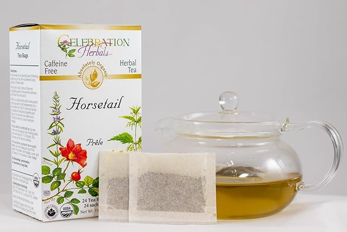 CELEBRATION HERBALS Horsetail Tea Organic 24 Bag, 1.16 0z