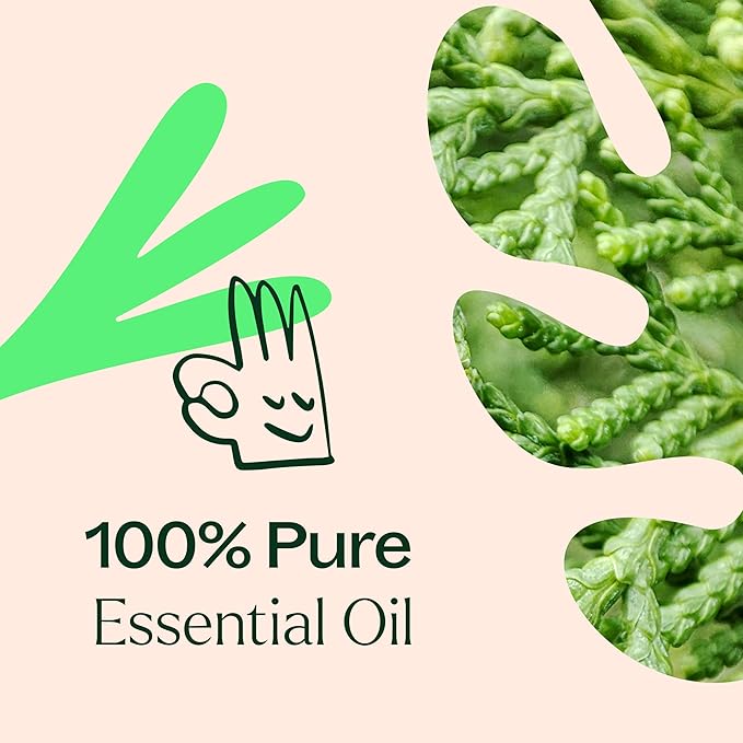 Plant Therapy Deodorizing Essential Oil Blend 10 mL (1/3 oz) 100% Pure, Undiluted, Therapeutic Grade