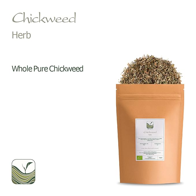 Chickweed Tea Herb - Chick Weed Herb - Stellaria Media Chickwood Chicked Tea Herb Chick Weed Chickweed Herb Chicken Weed Herb