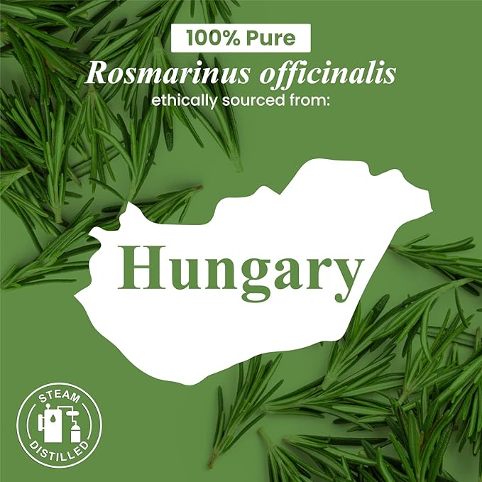 Handcraft Blends Rosemary Essential Oil - Huge 4 Fl Oz - 100% Pure and Natural - Premium Grade Essential Oil for Diffuser and Aromatherapy