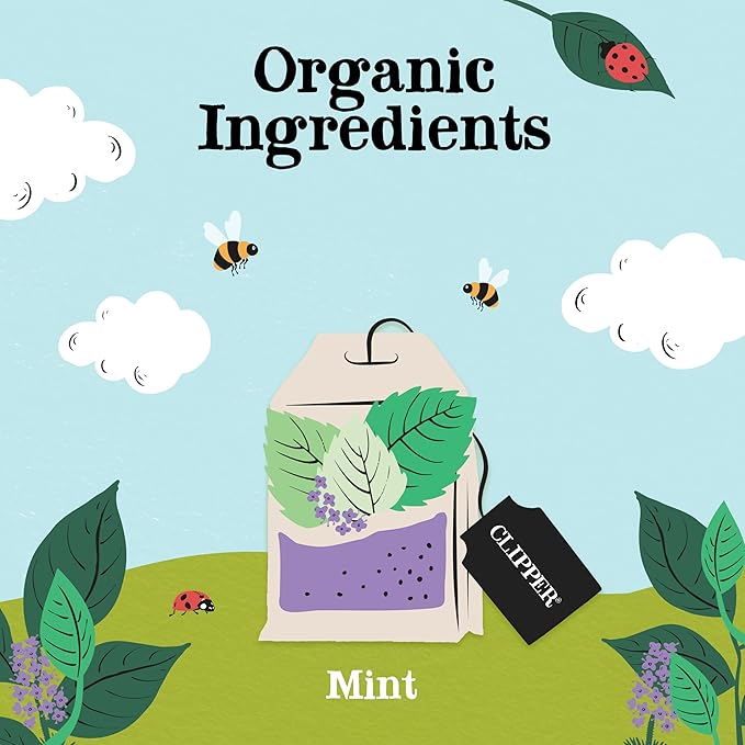Clipper Tea Mint Herbal Teabags – Caffeine Free, USDA Organic, Great Hot or Iced – Refreshing, Natural, Fair & Delicious – 200 Tea Bags