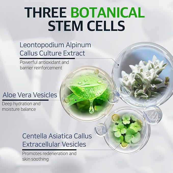 FABYOU Stem Cell Skin Recovery Duo – Korean Skin Care Set for Anti-Aging, Overnight Repair with EGF Cell Renew Ampoule & Plant-Based Stem Cell Night Cream