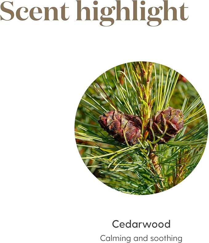 Young Living Cedarwood Essential Oil 15ml, for Healthy Skin, Hair, and Scalp, Unlock the Power of Pure, Calming and Soothing