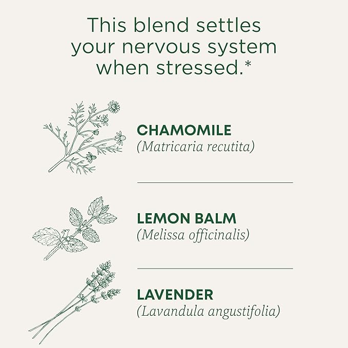 Traditional Medicinals Tea, Organic Chamomile & Lavender, Stress Relief, 16 Tea Bags