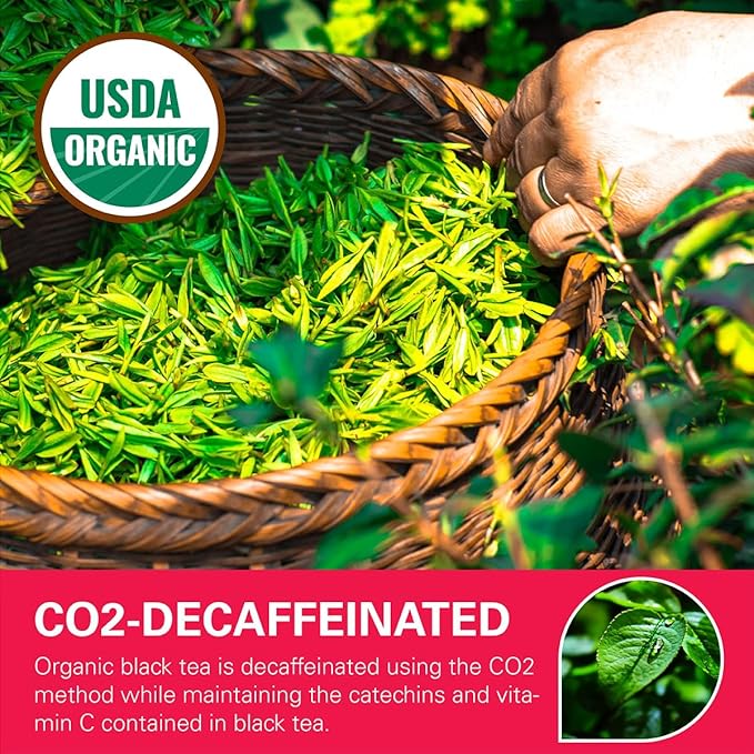 WT WEETEE Organic Decaf Black Tea Bags, Organic Black Tea 100 Count | Smooth & Mild Taste | CO2-Decaffeinated | Resealable Kraft Bag