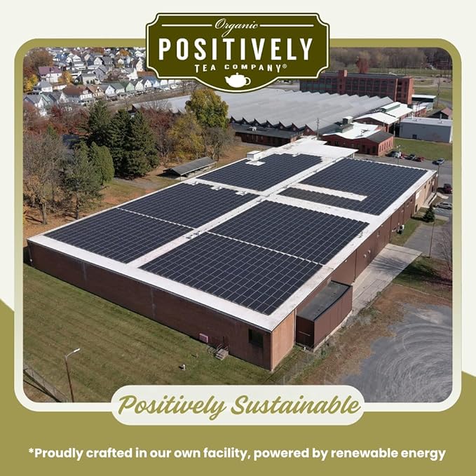 Organic Positively Tea Company, Yerba Mate Herbal Tea Bags (Unsmoked), 100 Count, Eco-Friendly Tea Bags, Non-GMO