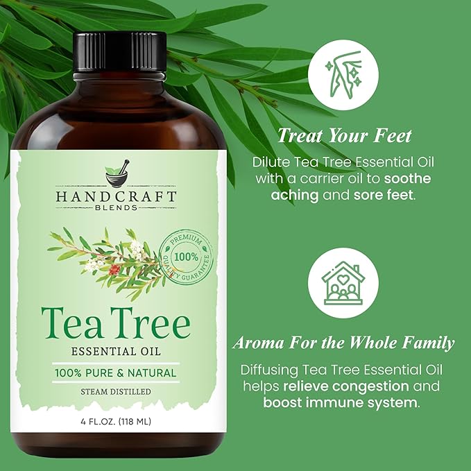 Handcraft Blends Tea Tree Essential Oil - Huge 4 Fl Oz - 100% Pure and Natural - Premium Grade Essential Oil for Diffuser and Aromatherapy