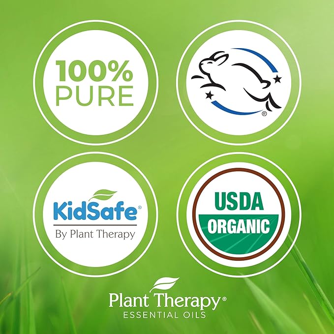 Plant Therapy KidSafe Organic Study Time Essential Oil Blend for Focus, Mind Calming, Concentration Blend for Kids 100% Pure, Undiluted, Natural Aromatherapy, Therapeutic Grade 10 mL (1/3 oz)