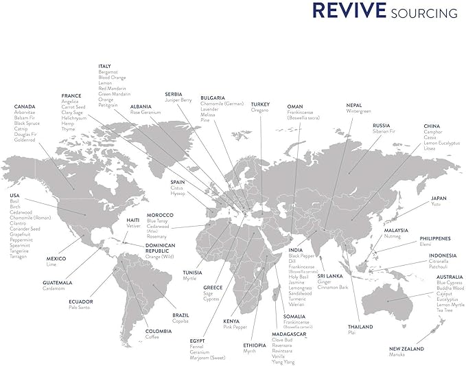 Clove Essential Oil by Revive Essential Oils - 100% Pure Therapeutic Grade, for Diffuser, Humidifier, Massage, Aromatherapy, Skin & Hair Care