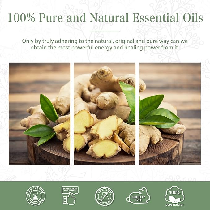 Ginger Essential Oil, 1.01Fl.Oz (30ML) PHATOIL Pure Essential Oil Singles for Aromatherapy Diffusers, Humidifiers, Great for DIY Candle and Soap Making, Gift for Friend