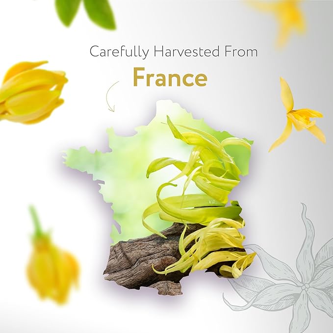 HBNO Ylang Ylang Essential Oil - 1 OZ (30 ml) Travel Size - Perfect for Aromatherapy, DIY, Candle Making, Soap Making, Diffusers