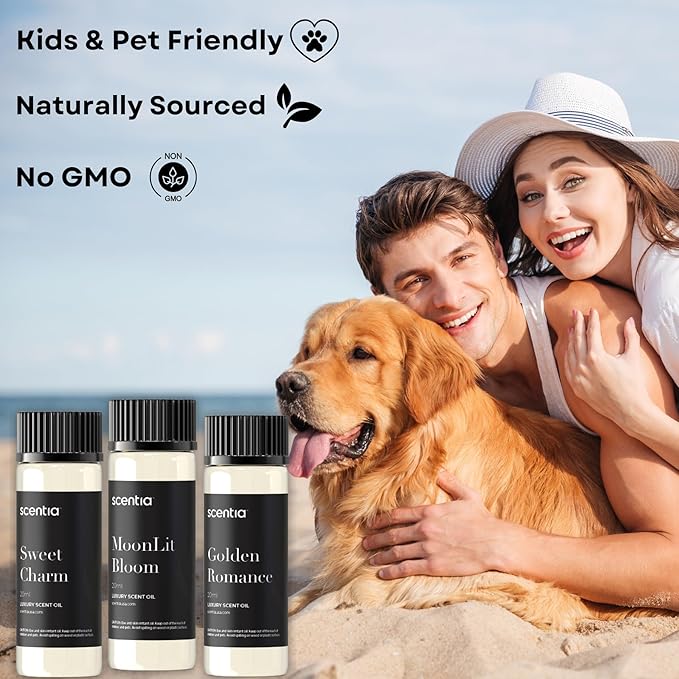 Fragrance Oil Set - Essential Oil Blends for Diffusers, Aromatherapy, Soap & Candle Making, DIY Crafts - Jasmine, Rose, Citrus, Amber, Musk - Valentine's Gift for Her, Couples - 3x20ml (2.03 fl oz)