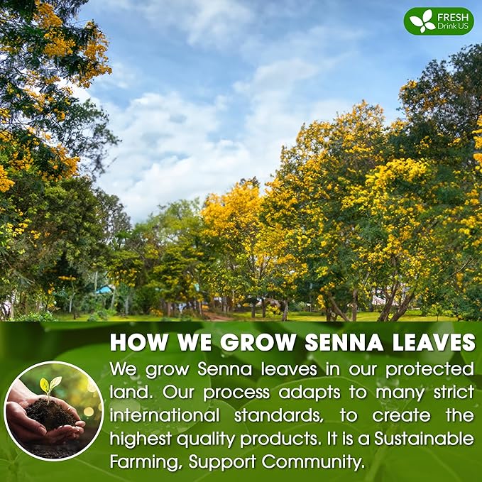 FreshDrinkUS, Premium 55 Senna Leaf Tea Bags, 100% Natural & Pure from Senna Leaves. Loose Leaf Senna Herbal Tea, Made with Natural Material Tea Bags, Senna Leaf Tea. No Sugar, No Caffeine, No Gluten, Vegan.