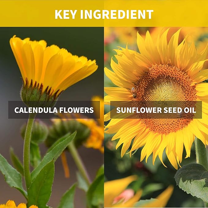 iUNIK Tea Tree Relief Face Toner 6.7 Fl Oz + Tea tree Relief Facial Serum 1.71 Fl Oz + Calendula Complete Deep Cleansing Oil, 6.7 Fl Oz –