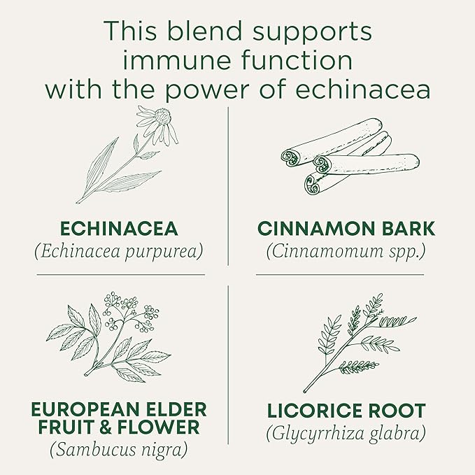 Traditional Medicinals Tea, Organic Immune Zoom Elderberry Echinacea, Supports Immune Function, 96 Tea Bags (6 Pack)