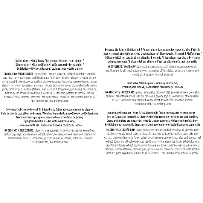 Burt's Bees Gift Ideas - Essentials Everyday Set, 5 Travel Size Products - Deep Cleansing Cream, Hand Salve, Body Lotion, Foot Cream and Original Lip Balm