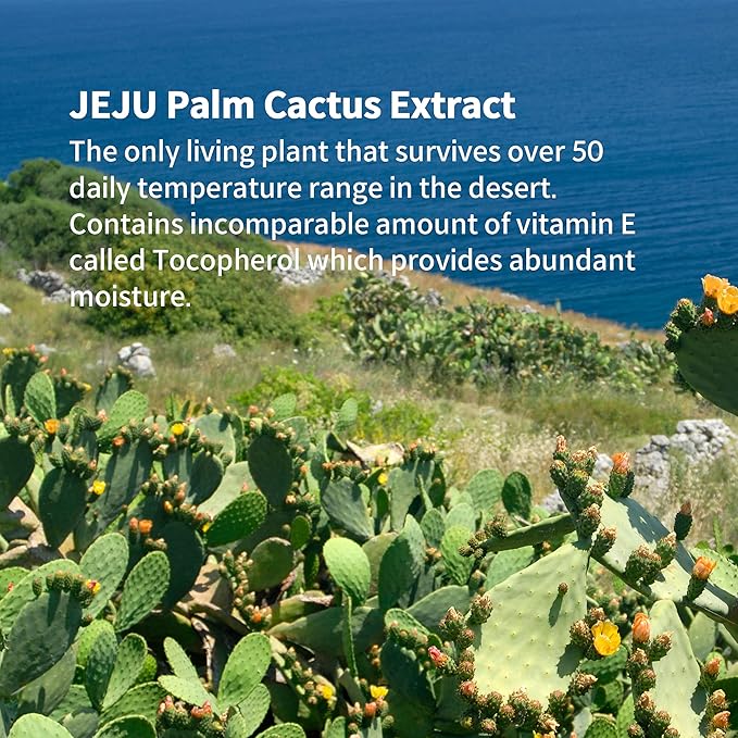 YADAH Daily Green Facial Sheet Mask, Cactus, Pack of 5 – Vegan 100% Eco-friendly Bamboo Sheet for Skin Moisturizing