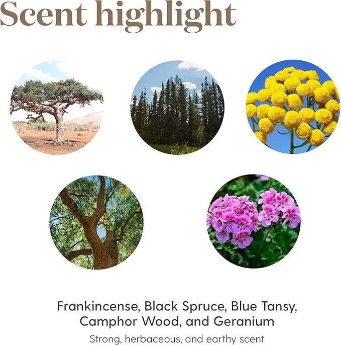 Young Living Valor Essential Oil - Empowering Blend with a Harmonious Blend of Black Spruce, Blue Tansy, Camphor Wood, Geranium, and Frankincense - 5ml Bottle for Courage and Confidence