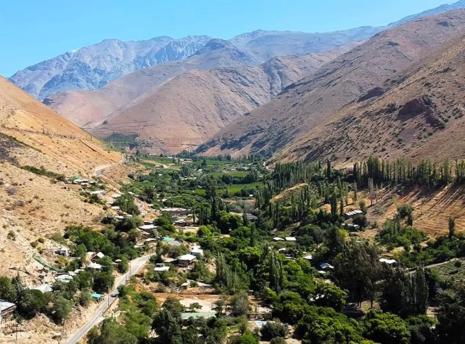 Papaya Seed Oil 1 Oz - 100% Pure Chilean Oil for Nourishing Face