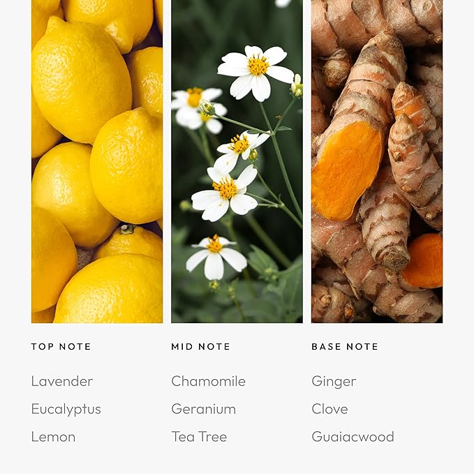 Aroma360 - Exhale Pro Pod Fragrance Oil Blend | Hotel Inspired Luxury Essential Oil Diffuser | Aromatherapy Scent Diffuser Oil | Lavender, Eucalyptus and Lemon 1.7 fl oz, 50 mL