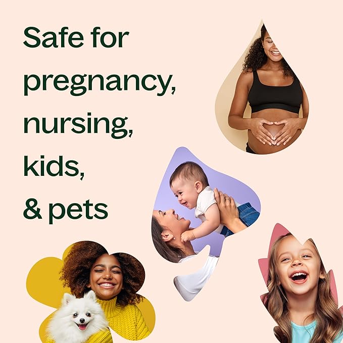 Plant Therapy Egyptian Geranium Essential Oil 100% Pure, Undiluted, Natural Aromatherapy, Therapeutic Grade 5 mL (1/6 oz)