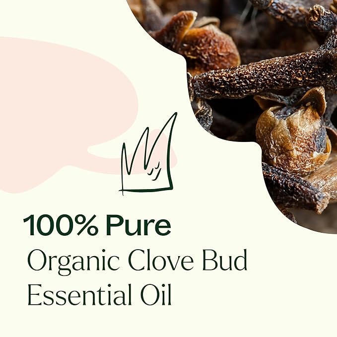 Plant Therapy Organic Clove Bud Essential Oil 100% Pure, USDA Certified Organic, Undiluted, Natural Aromatherapy, Therapeutic Grade 10 mL (⅓ oz)