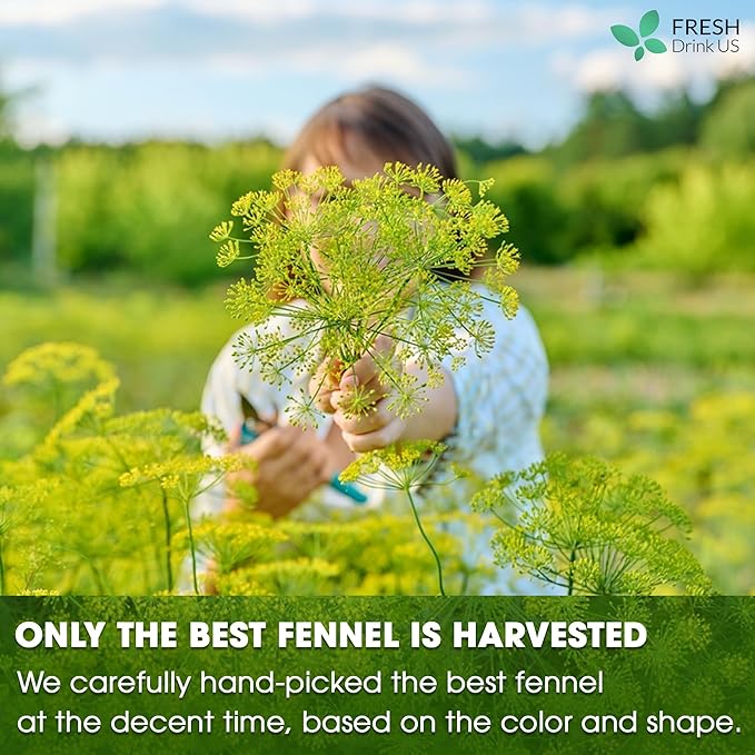 FreshDrinkUS Premium 200 Fennel Tea Bags, 100% Natural & Pure From Seeds. Herbal Tea Made With Natural Material Bags. No Sugar, No Caffeine, No Gluten, Vegan.