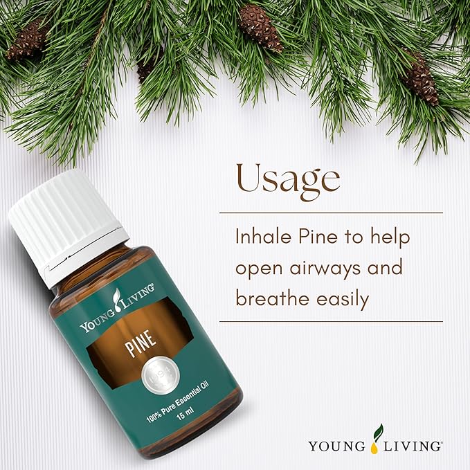 Young Living Pine Essential Oil | 15 ml | Fresh, Woodsy Aroma for Uplifting Energy, DIY Cleaning, Aromatherapy Diffusion, Relaxing Massage, Grounding Meditation, Topical Use, Dilution Required