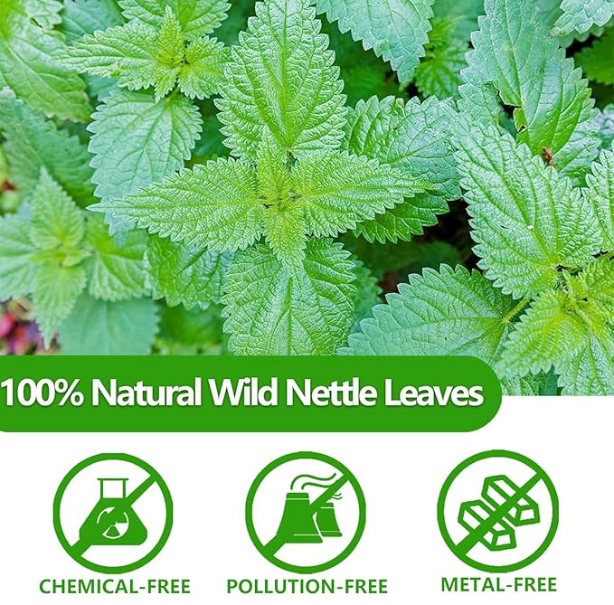 Premium 100 Stinging Nettle Leaf Tea Bags, Made with 100% Wild Nettle Leaves，No Additive & Caffeine Free.