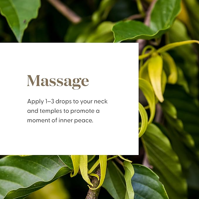 Young Living Peace & Calming II Essential Oil | 5ml | 100% Pure and Premium-Grade | Diffuser-Friendly | Comforting, Fresh Citrus Aroma | Promotes Peaceful Meditation