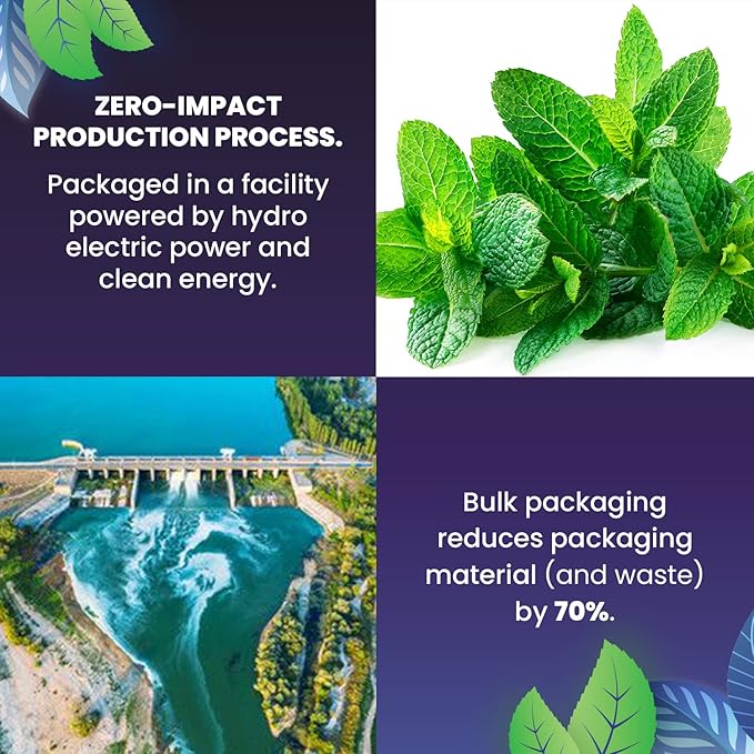 Organic Spearmint Herbal Tea — 100 Tea Bags | Grown in USA | Eco-Friendly Tea Bags | Non-GMO Caffeine Free Tea | Cederberg Tea Company