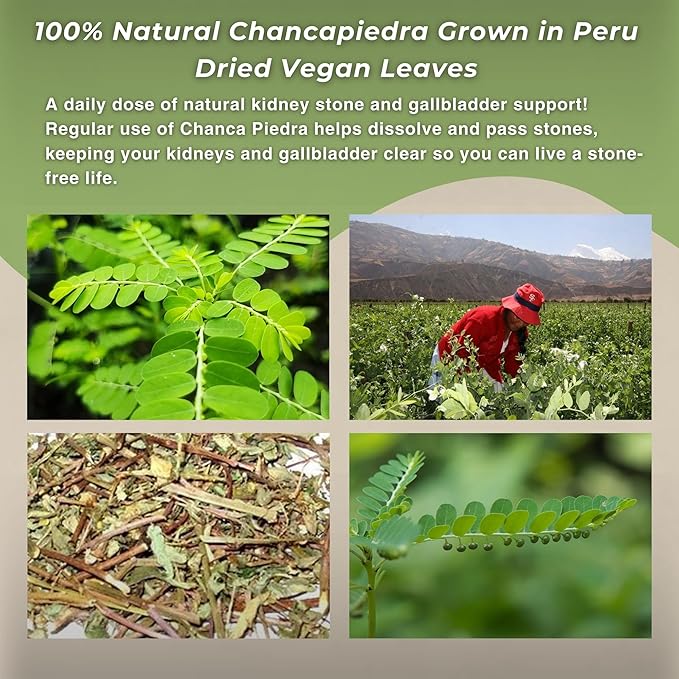 Hanan Chanca Piedra Loose Leaf Herbal Tea 4.2oz 120g of Stone Breaker 40 Grams Each of All-Natural Chancapiedra Plant Leaves and Stems Grown in Peru - Pack of 3
