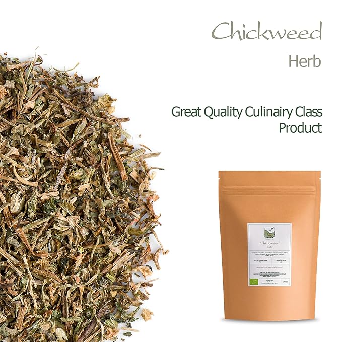 Chickweed Tea Herb - Chick Weed Herb - Stellaria Media Chickwood Chicked Tea Herb Chick Weed Chickweed Herb Chicken Weed Herb