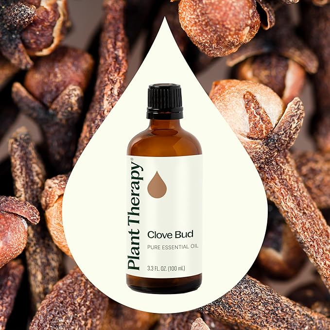 Plant Therapy Clove Bud Essential Oil 100% Pure, Undiluted, Natural Aromatherapy, Therapeutic Grade 100 mL (3.3 oz)