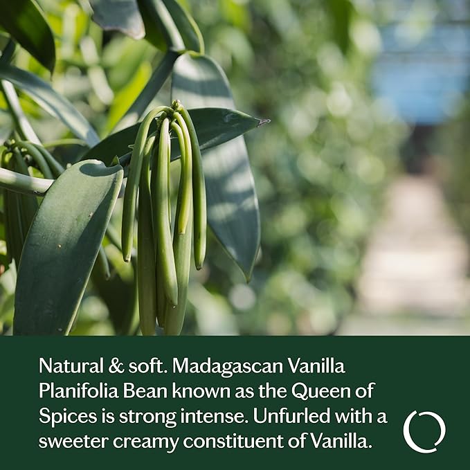 LIVEDROPS 24/7 Vanilla Oil Blend, Feel Good. Madagascar Vanilla Planifolia. Warm & Creamy. Natural Aromatherapy. Diffusor Compatible & dilute in Carrier Oil for Skin. Clinically Tested.