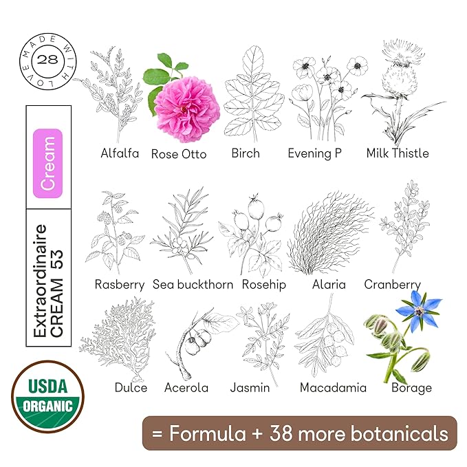 ORGANIC28+. 100% Organic Face Cream – USA Made. 53 Botanicals. 2 X Size. Revitalization Night Moisturizer Face & Décolletage. Vegan Face Cream. Rejuvenating + Aromatherapy Bulgarian Rose +.3.9 FL. Oz