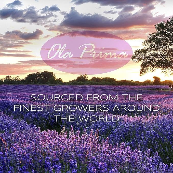 Ola Prima Oils 16oz - Patchouli Essential Oil - 16 Fluid Ounces