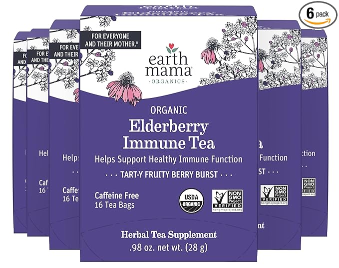 Earth Mama Organic Elderberry Immune Support Tea with Echinacea | Safe for Pregnancy, Breastfeeding, Postpartum, Kids and Family Essentials, Decaf Tea with Ginger & Rooibos (16-Count, 6-PK)
