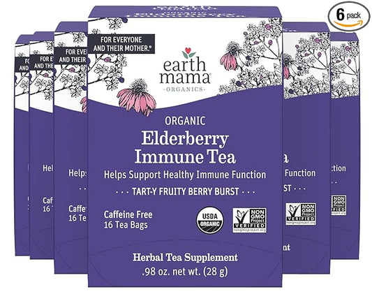 Earth Mama Organic Elderberry Immune Support Tea with Echinacea | Safe for Pregnancy, Breastfeeding, Postpartum, Kids and Family Essentials, Decaf Tea with Ginger & Rooibos (16-Count, 6-PK)