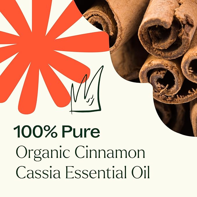 Plant Therapy USDA Certified Organic Cinnamon Cassia Essential Oil 10 mL (1/3 oz) 100% Pure, Undiluted, Therapeutic Grade