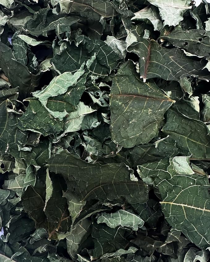 Laksaru Premium Dried Papaya Leaves – 1 oz | 28g |100% Natural Herbal Tea for Wellness – All-Natural | Caffeine-Free & Rich in Antioxidants | Product from Sri Lanka