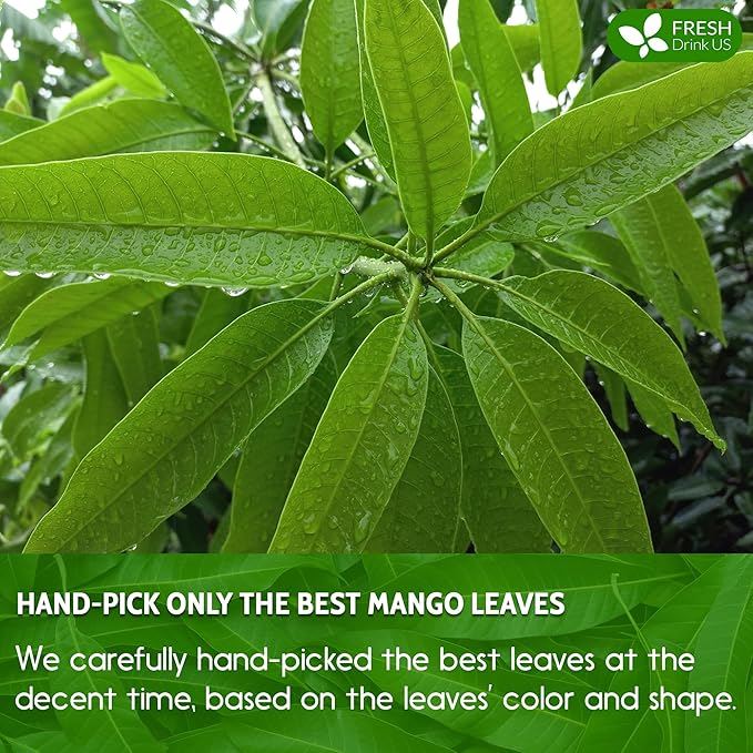 FreshDrinkUS, Premium 40 Mango Leaf Tea Bags, 100% Natural& Pure from Mango Leaves. Loose Leaf Mango Herbal Tea. Mango Leaf Tea. No Sugar, No Caffeine, No Gluten, Vegan.