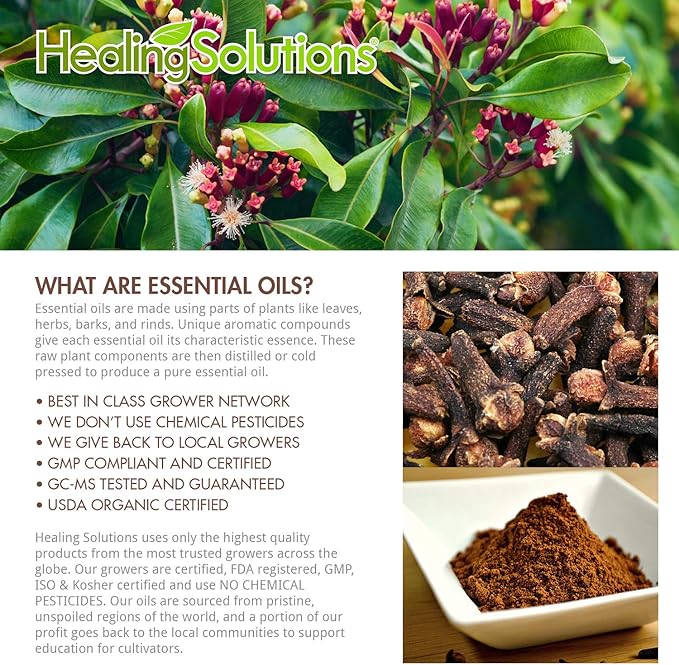 Healing Solutions Clove Essential Oil - 100% Pure Therapeutic Grade Clove Oil - 120ml