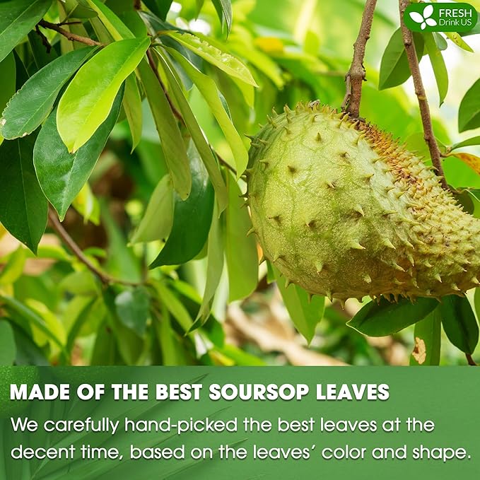 FreshDrinkUS, 55+ Premium Soursop Graviola Dried Leaves, 55-60 Natural Whole Leaves, Wildcrafted, Graviola, Hoja Guanabana, Soursop Loose Leaf Herbal Tea, No Gluten, Vegan