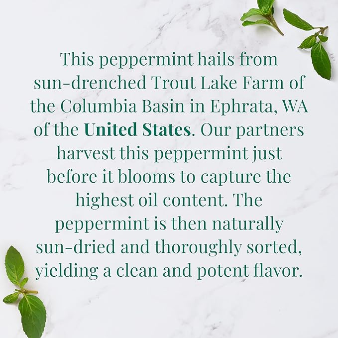 The Republic of Tea — Organic American Peppermint SuperHerb Tea Tin, 36 Herbal Tea Bags, Naturally Caffeine-Free Herbs of Origin