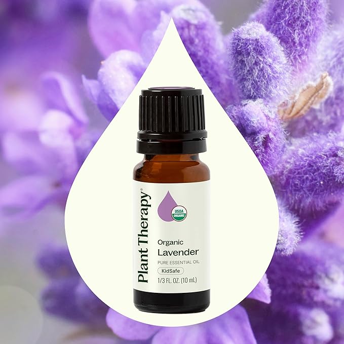 Plant Therapy Organic Lavender Essential Oil 100% Pure, USDA Certified Organic, Undiluted, Natural Aromatherapy, Therapeutic Grade 10 mL (1/3 oz)