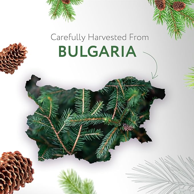 HBNO Fir Needle Essential Oil - Huge 4 oz (120ml) Value Size - Natural Fir Needle Oil - Perfect for Cleaning, Aromatherapy, DIY, Soap and Diffuser - Fir Needle Essential Oils