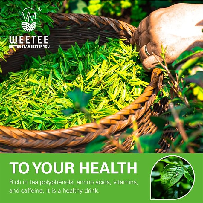 WT WEETEE Organic Green Tea Bags, Organic Pure Green Tea 200 Count, Super Antioxidant | Resealable Kraft Bag | Brew Hot or Iced