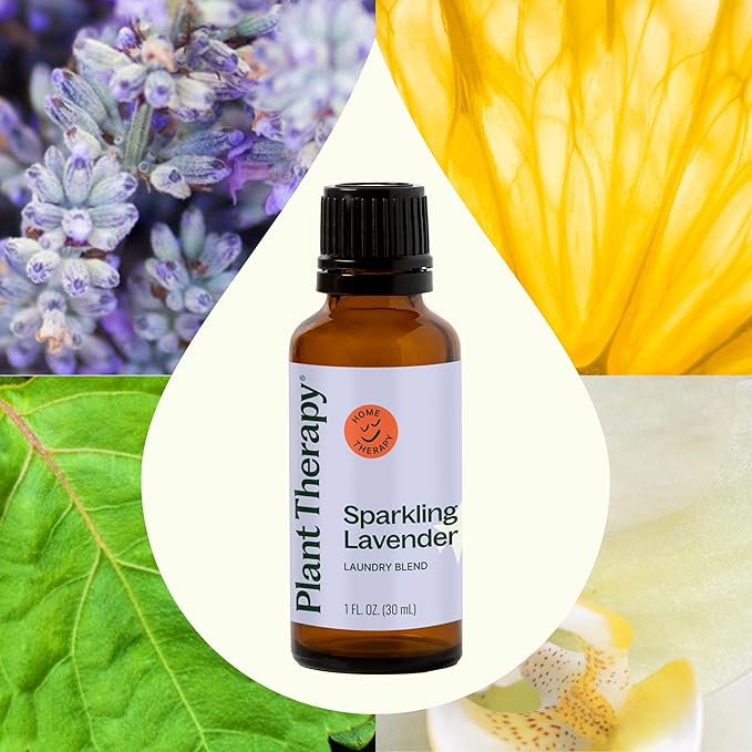 Plant Therapy Sparkling Lavender Laundry Essential Oil Blend 30 mL (1 oz) Pure, Undiluted, Wash Fragrance and Scent Enhancer