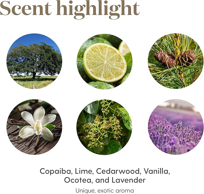 Young Living Stress Away Essential Oil Blend – 100% Pure, Vanilla-Lime Aroma, Diffuser & Topical Use, 5ml